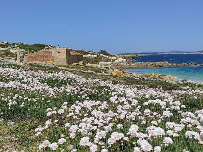 Salvora: Island Tour with Mussel Tasting - FAQs