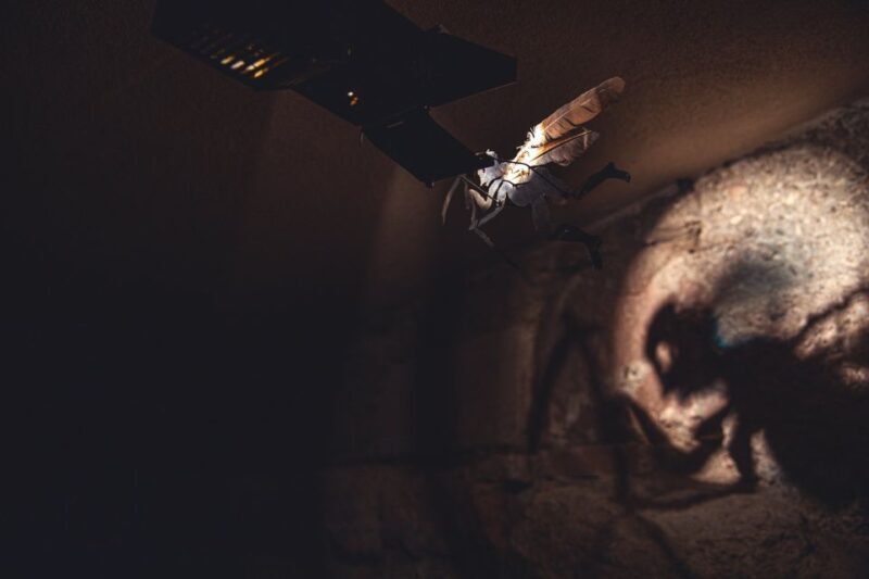 Salzburg Cathedral: Guided Tour with Entry Ticket - Why We Like This Tour