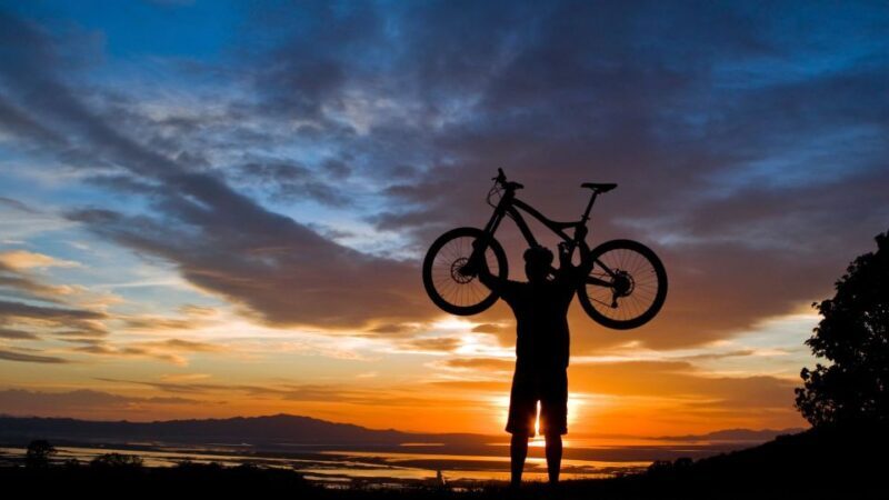 Salzburg: City and Countryside Mountain Bike Tour - Authentic Insights from Past Participants