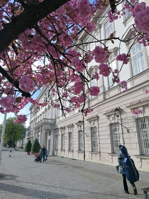 Salzburg: Classical Music Concert at the Mirabell - Who Should Book This Experience?