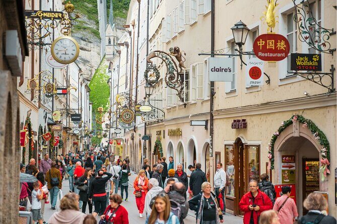 Salzburg Day Trip from Vienna by Bus with hotel pickup - Who Is This Tour Best For?