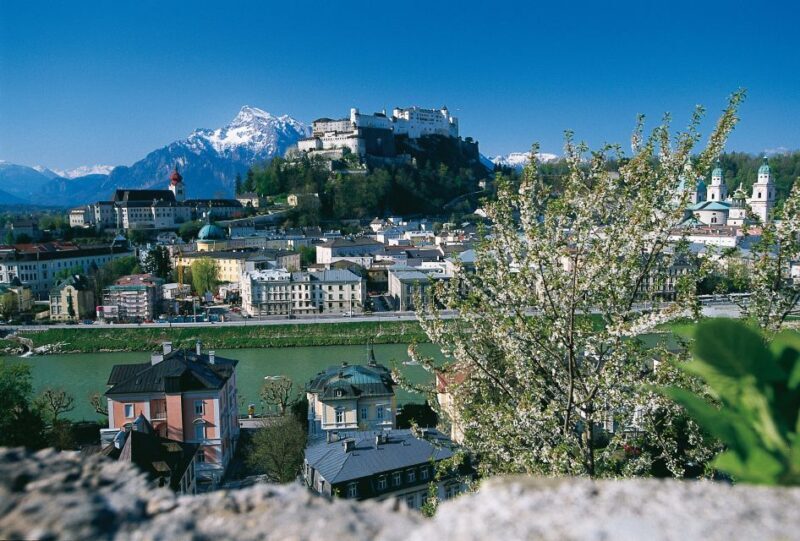 Salzburg: Sound of Music Private Half-Day Tour - Key Points
