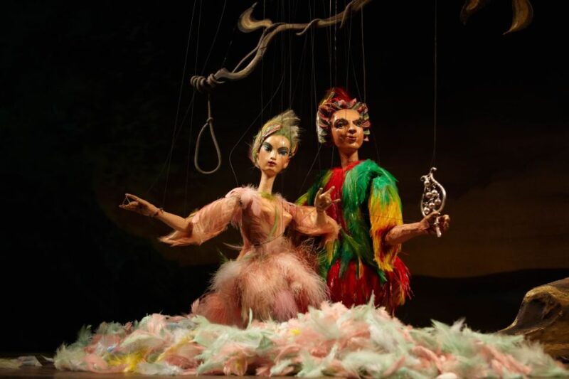 Salzburg: The Magic Flute at Marionette Theater Ticket - Who Would Enjoy This Experience?