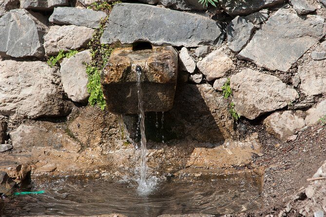 SAMARIA from Malia-Heraklion - What Makes This Tour Stand Out