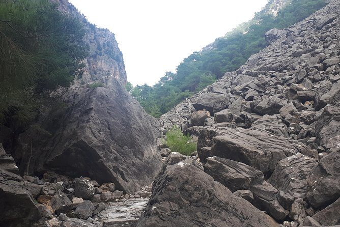 SAMARIA GORGE adventure by local guide. - The Hiking Experience: Exploring Nature and Culture