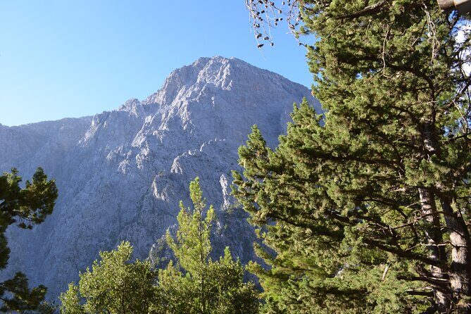 Samaria Gorge Hiking Tour from Chania with Professional Guide - Final Thoughts