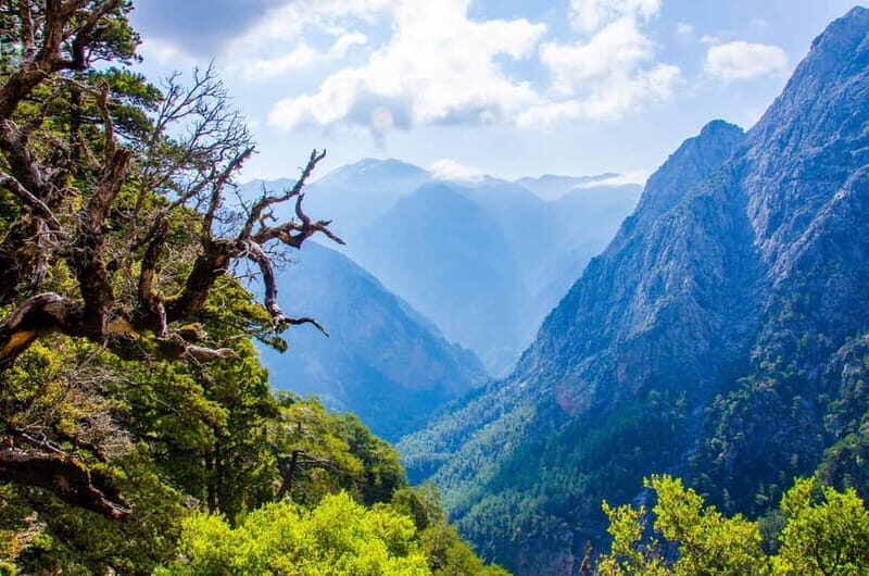 Samaria Gorge : Private Full-Day Guided Experience - Key Points