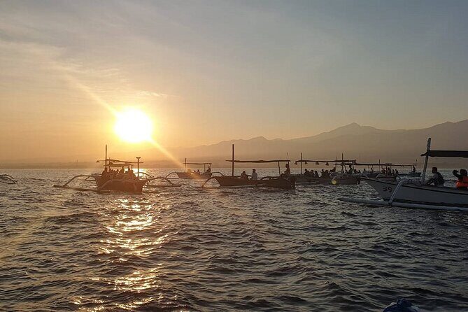 Sambangan Waterfall Tour with Dolphin Watching and Snorkeling in Northern Bali - Key Points