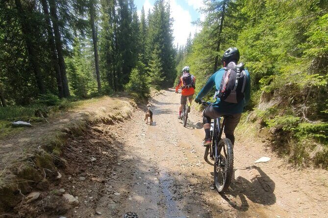 Sambata de Sus: E-Bike Guided Tours - The Sum Up