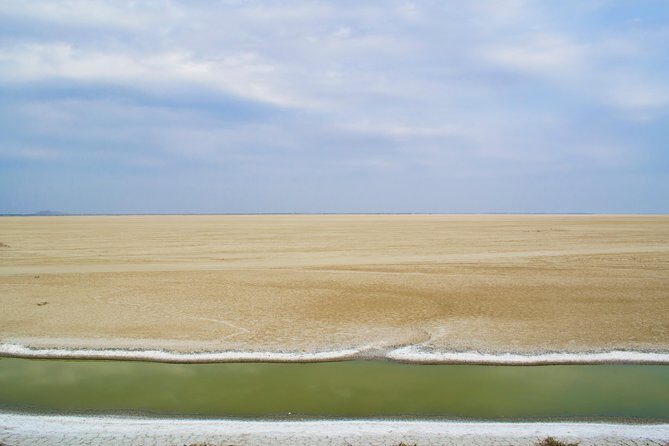 Sambhar Tour - temples, salt lake, bird watching, heritage walk - What to Expect from the Sambhar Salt Lake Tour