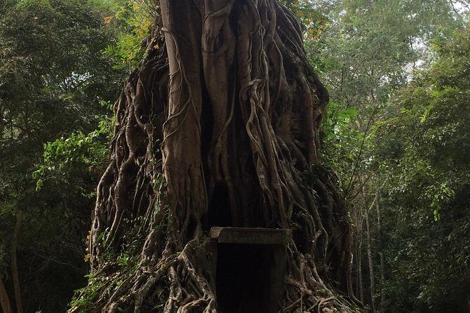 Sambor Prei Kuk Off Beaten Track - Driving Through Cambodia: What to Expect