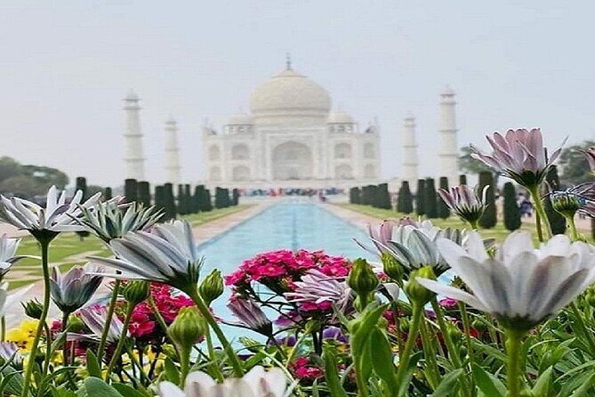 Sameday Taj Mahal Tour From Delhi With Lunch at 5 Star Hotel - Why This Tour Stands Out