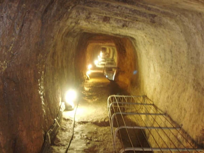 Samos: Full-Day Island Bus Tour ( starting from east Samos ) - Transportation and Group Dynamics