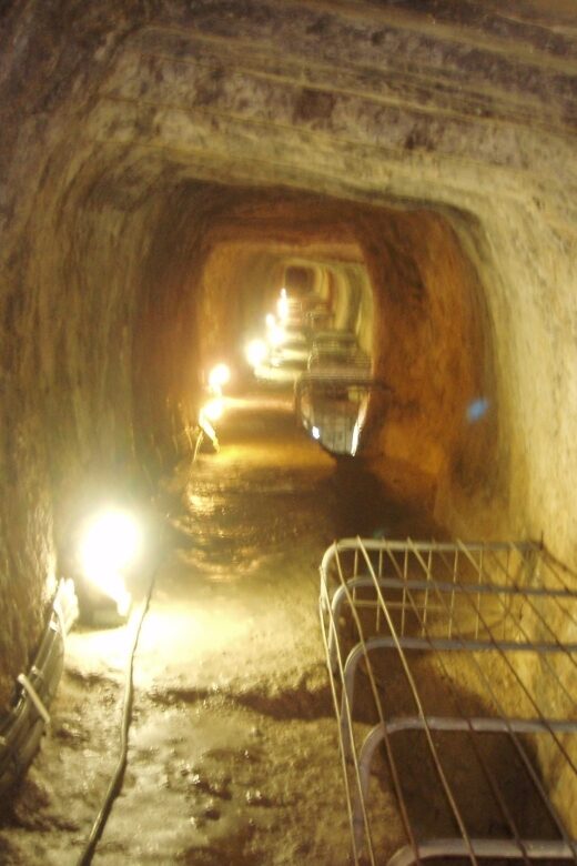 Samos: Full-Day Island Bus Tour ( starting from east Samos ) - The Experience: What We Think