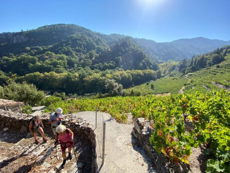 Samos: Full-Day Private Sightseeing Tour - Key Points