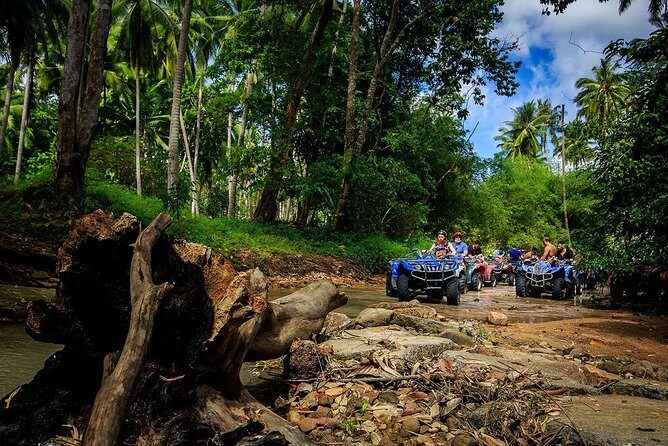 Samui ATV Quad Bike 1 Hour Tour - Key Points