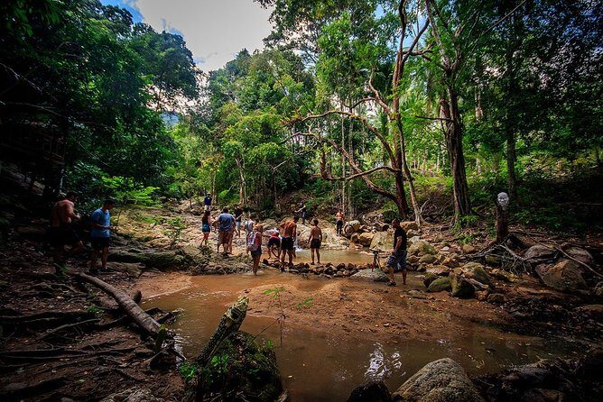 Samui ATV Quad Bike 1 Hour Tour - Authentic Experiences and Guest Feedback