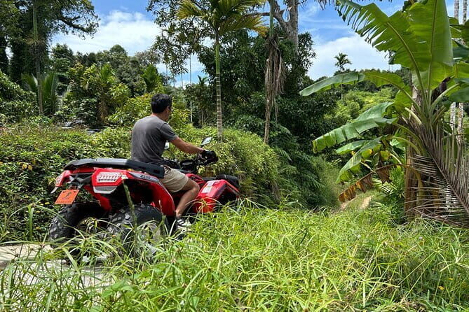 Samui ATV Quad Tour with Scenic Lunch (PRIVATE GROUP 3 or 4 hour) - Key Points