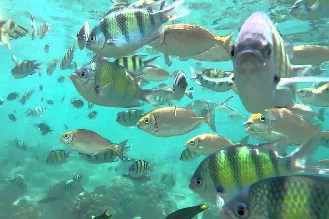 Samui Boat Charter, Private Half-Day 4 hours Koh Phangan Cruise from Koh Samui. - Key Points