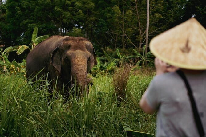 Samui Elephant Kingdom Ethical Sanctuary and Skywalk Tour - FAQ