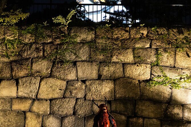 Samurai-specific Osaka Castle Guides Private tours in armor Photo - Authenticity and Review Insights