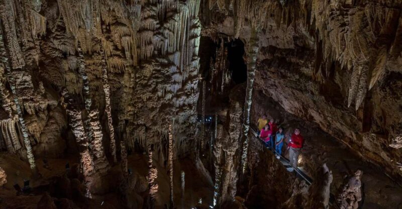 San Antonio: Discovery Tour at Natural Bridge Caverns - Who Would Enjoy This Tour?