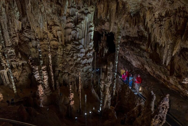 San Antonio: Discovery Tour at Natural Bridge Caverns - Exploring the Natural Bridge Caverns Discovery Tour in San Antonio