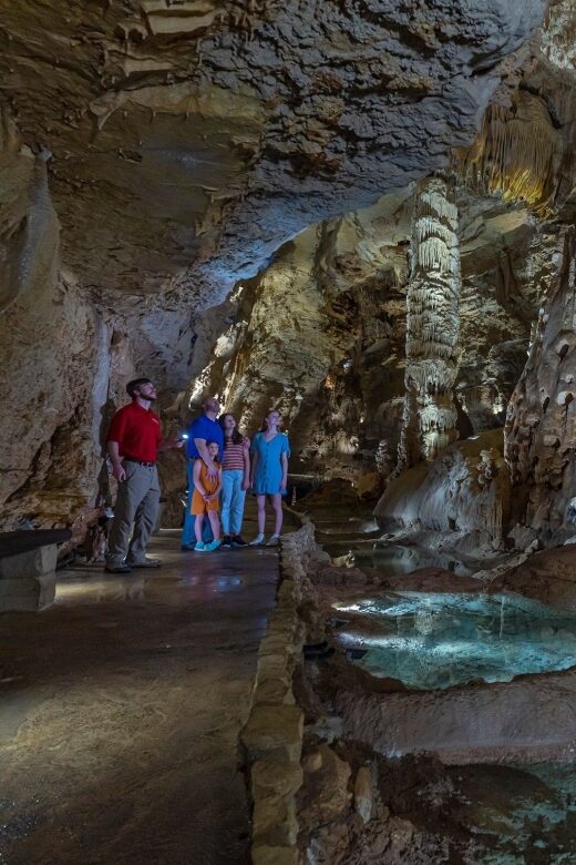 San Antonio: Discovery Tour at Natural Bridge Caverns - The Value: Price, Duration & Overall Experience
