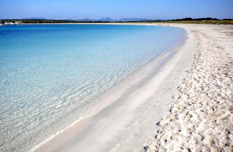 San Antonio: Es Vedrà, Formentera Tour with Food & Drinks - Who This Tour Suits Best