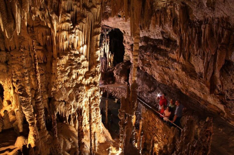 San Antonio: Go City Explorer Pass with 25+ Attractions - An In-Depth Look at the San Antonio Explorer Pass