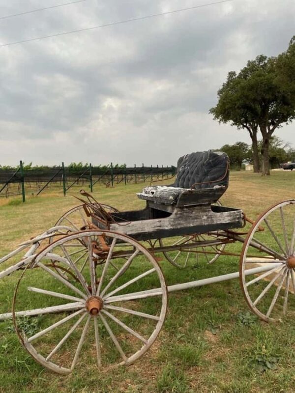 San Antonio: Hill Country Wine Tour & Fredericksburg Visit - An In-Depth Look at the Tour Itinerary