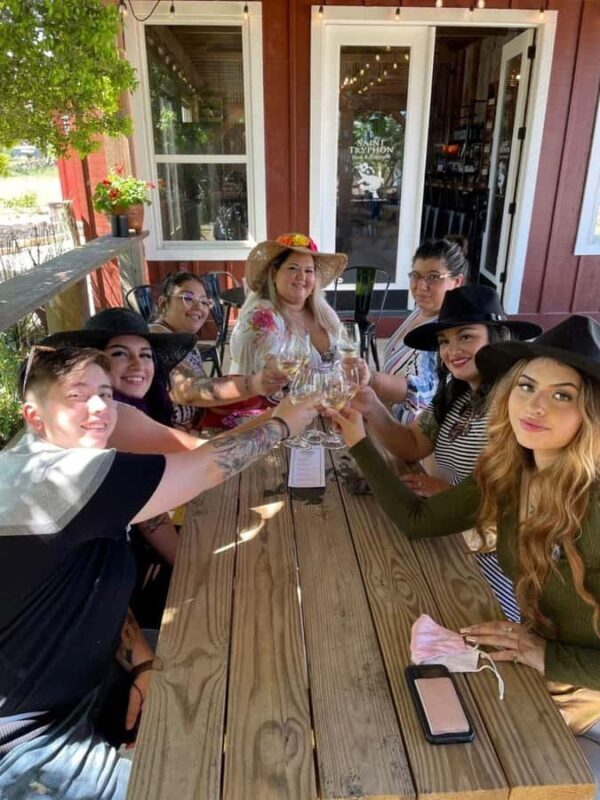 San Antonio: Hill Country Wine Tour & Fredericksburg Visit - What Makes This Tour Stand Out?