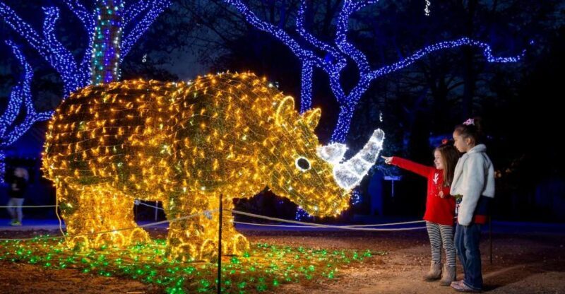 San Antonio: San Antonio Zoo Any Day Ticket - A Deep Dive into the San Antonio Zoo Experience