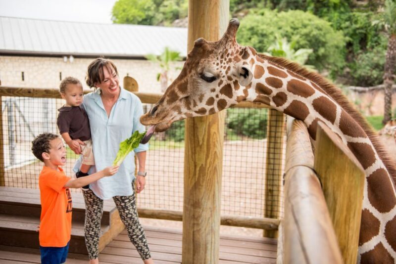 San Antonio: San Antonio Zoo Any Day Ticket - Final Thoughts: Is It Worth It?