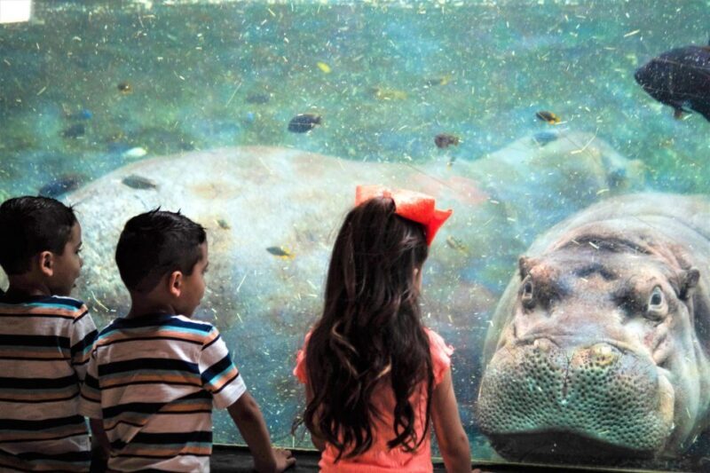 San Antonio: San Antonio Zoo Any Day Ticket - FAQ