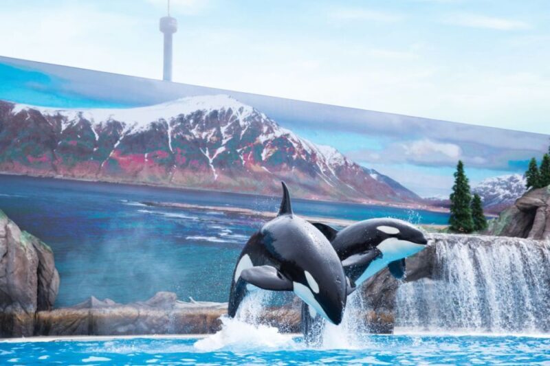 San Antonio: SeaWorld Skip-the-Line Park Admission Ticket - FAQ