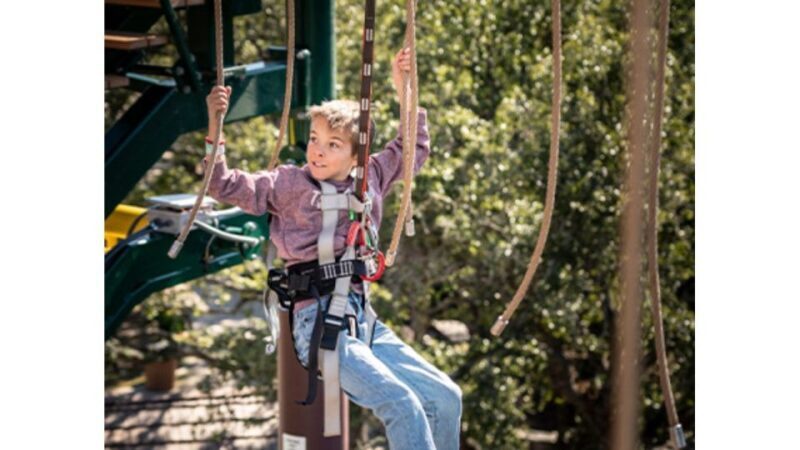 San Antonio: Twisted Trails Zip Rails, Ropes & Climbing Wall - Authentic Insights from Reviews