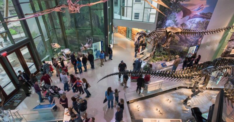 San Antonio: Witte Museum Admission Ticket - Who Should Visit the Witte Museum?