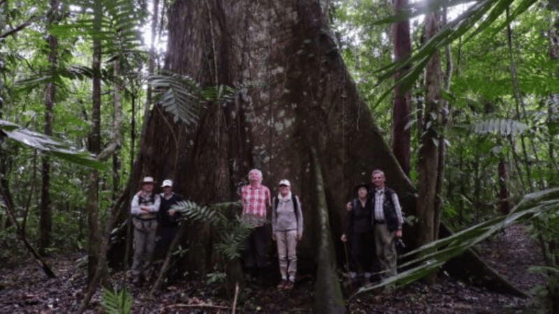 San Cristobal: 2 Days in the Southern Selva Lacandona Tour - Authenticity and Experience: What Sets This Tour Apart