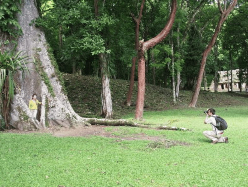 San cristobal- 4 Days Kayak Tour in Lacandona Jungle - Why This Tour Is Worth Considering