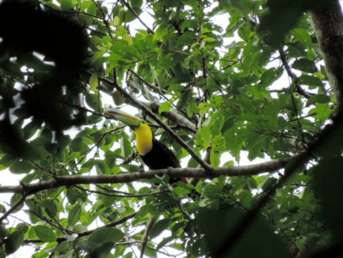 San Cristobal: 4 Days Nature Tour in the Lacandon Jungle - Final Thoughts