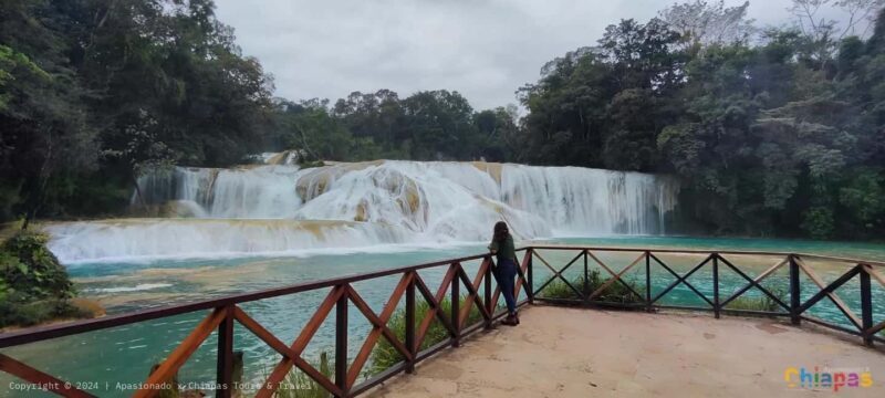 San Cristobal: Agua Azul, Misol Ha & Palenque Experience - Key Points