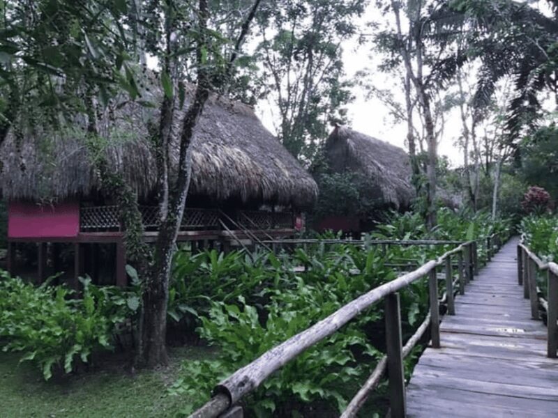 San Cristobal: Coffee Tour in the Mountains of Chiapas - Final Thoughts: Is This Tour for You?