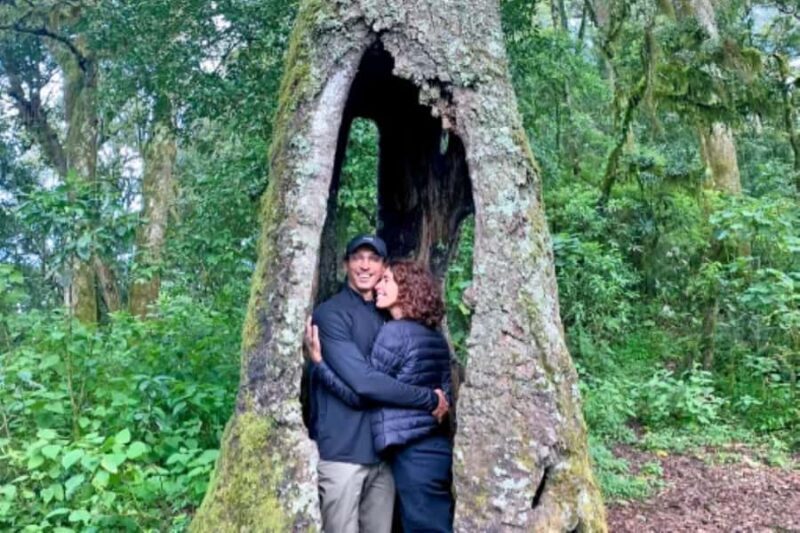 San Cristóbal de las Casas: Hiking on Huitepec Volcano - The Journey to Huitepec Volcano