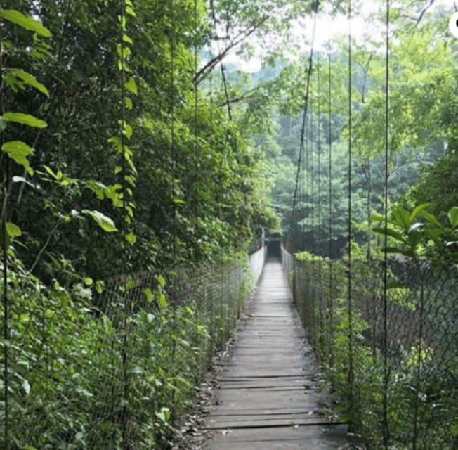 San Cristóbal: Las Nubes Waterfall & Comitán Tour - An Overview of the Experience