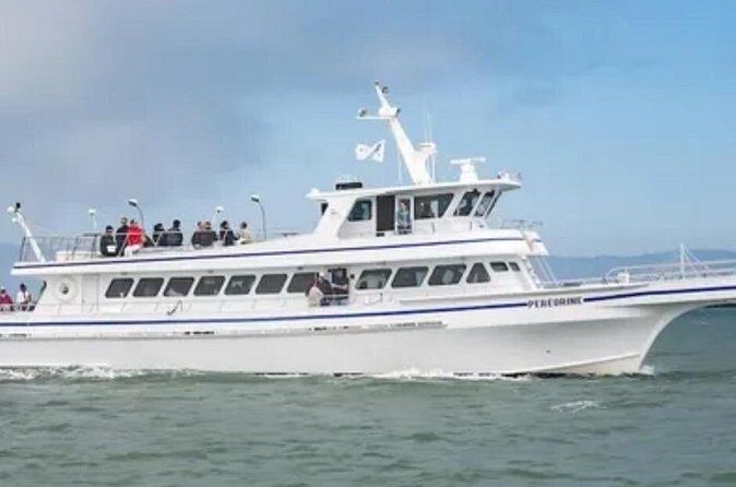 San Diego 4th of July Fireworks Cruise - Who Should Consider This Cruise?