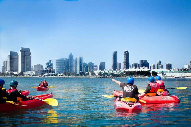 San Diego Bay 1.5-Hour Guided Kayak Tour in Coronado - Introduction