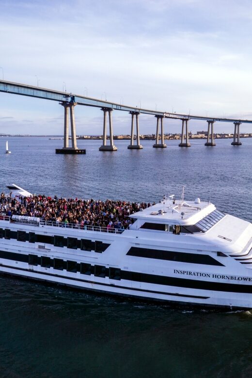 San Diego: City Cruises Buffet Breakfast and Brunch Cruise - Key Points