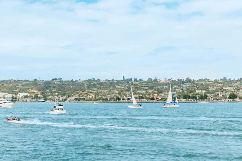 San Diego: City Cruises Whale and Dolphin Watching Cruise - The Experience on Board