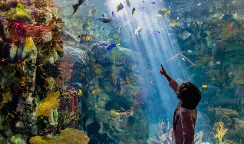 San Diego: CityPASS® Save up to 46% at Must-See Attractions - Final Thoughts: Is the San Diego CityPASS® Right for You?